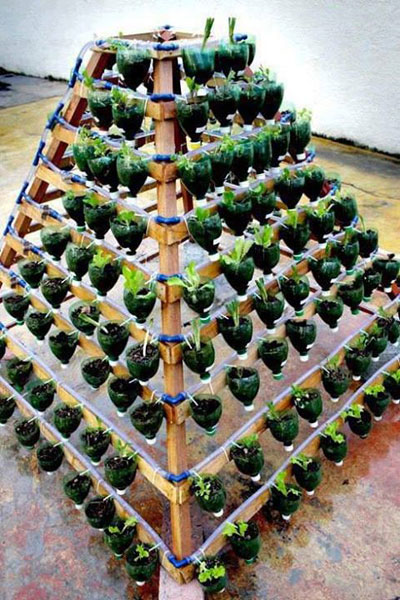 jardin exterieur vertical en bouteilles recyclees
