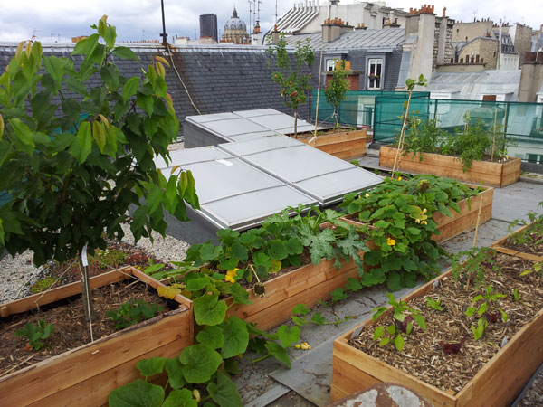 jardinage hors sol sur les toits